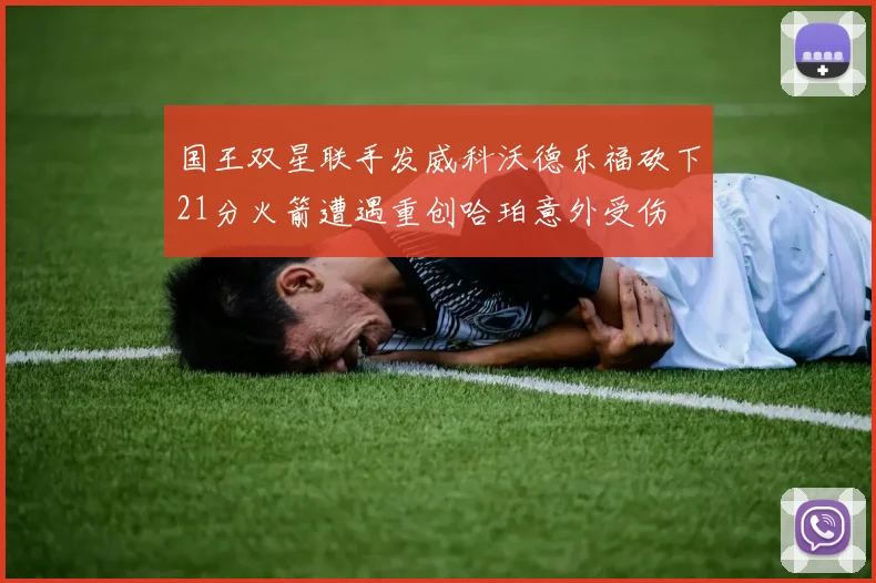 国王双星联手发威科沃德乐福砍下21分火箭遭遇重创哈珀意外受伤