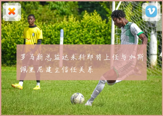 罗马新总监达米科即将上任与加斯佩里尼建立信任关系
