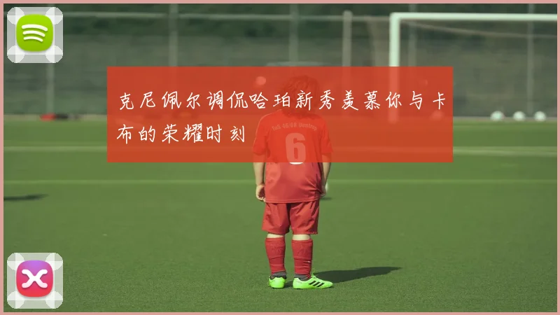 克尼佩尔调侃哈珀新秀羡慕你与卡布的荣耀时刻